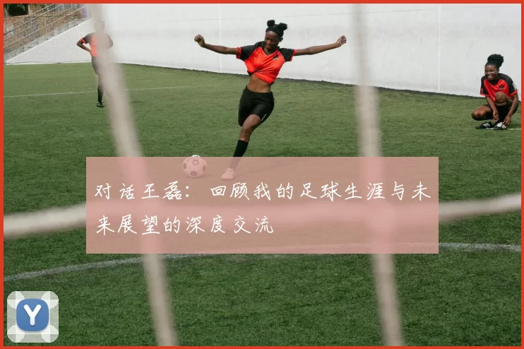 对话王磊：回顾我的足球生涯与未来展望的深度交流