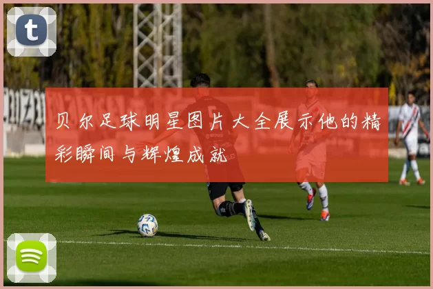 贝尔足球明星图片大全展示他的精彩瞬间与辉煌成就