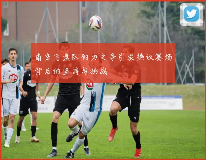 南京飞盘队耐力之争引发热议赛场背后的坚持与挑战