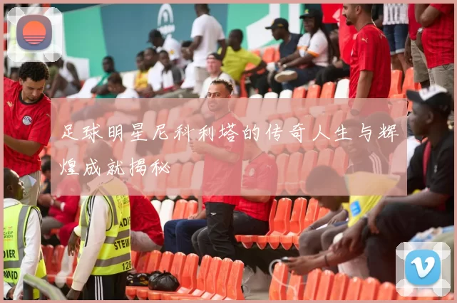 足球明星尼科利塔的传奇人生与辉煌成就揭秘