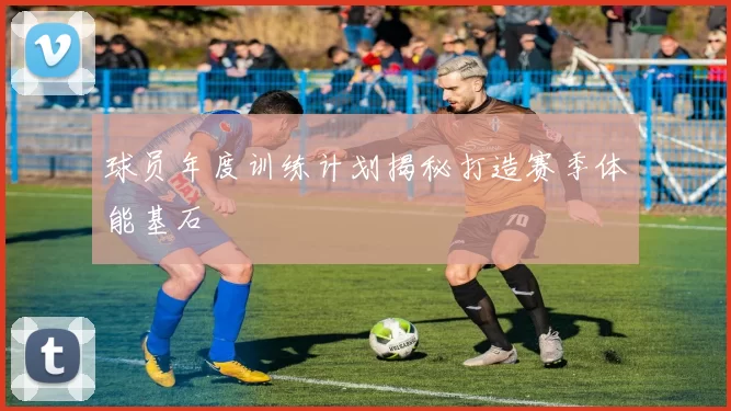 球员年度训练计划揭秘打造赛季体能基石