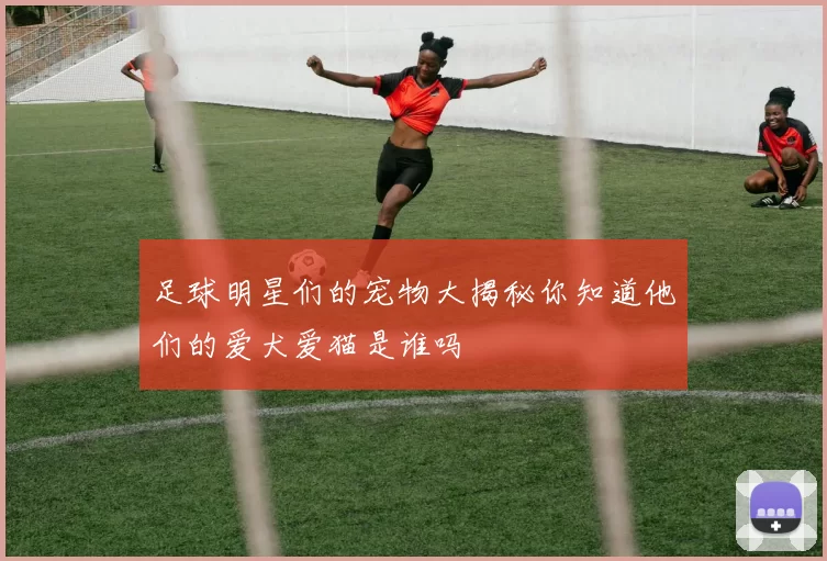足球明星们的宠物大揭秘你知道他们的爱犬爱猫是谁吗