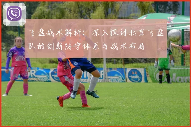 飞盘战术解析：深入探讨北京飞盘队的创新防守体系与战术布局