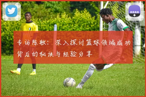 专访陈敏：深入探讨篮球领域成功背后的秘诀与经验分享