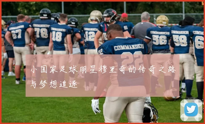 小国家足球明星穆里奇的传奇之路与梦想追逐