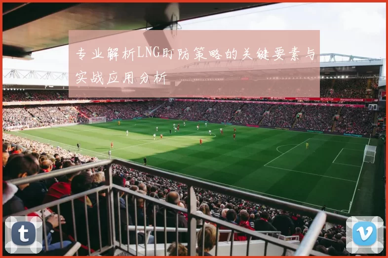 专业解析LNG盯防策略的关键要素与实战应用分析