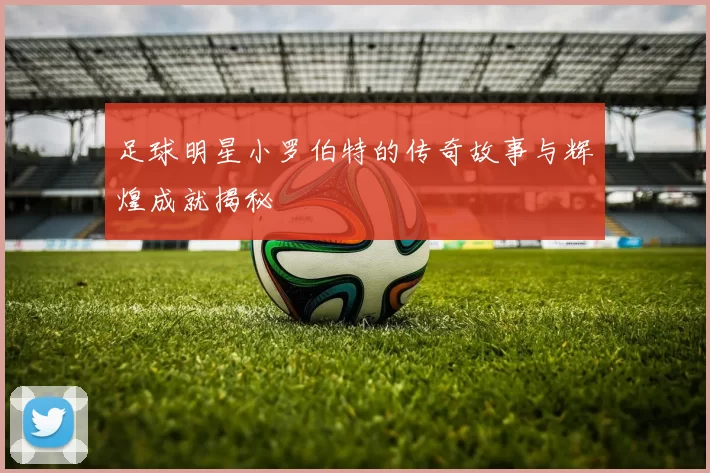 足球明星小罗伯特的传奇故事与辉煌成就揭秘