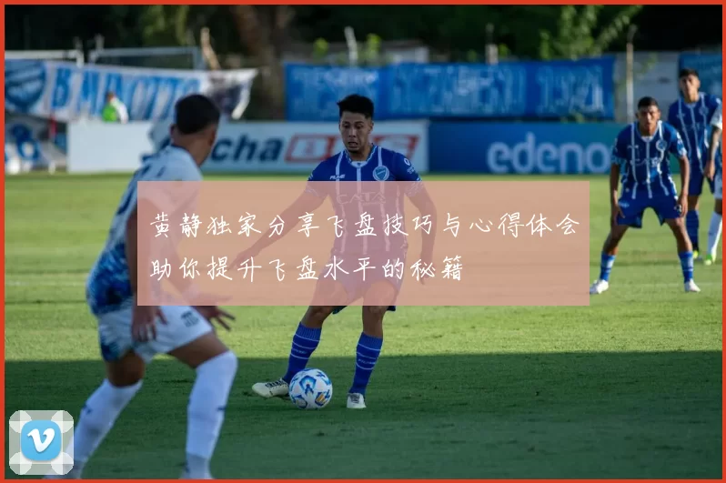 黄静独家分享飞盘技巧与心得体会助你提升飞盘水平的秘籍
