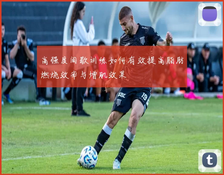 高强度间歇训练如何有效提高脂肪燃烧效率与增肌效果