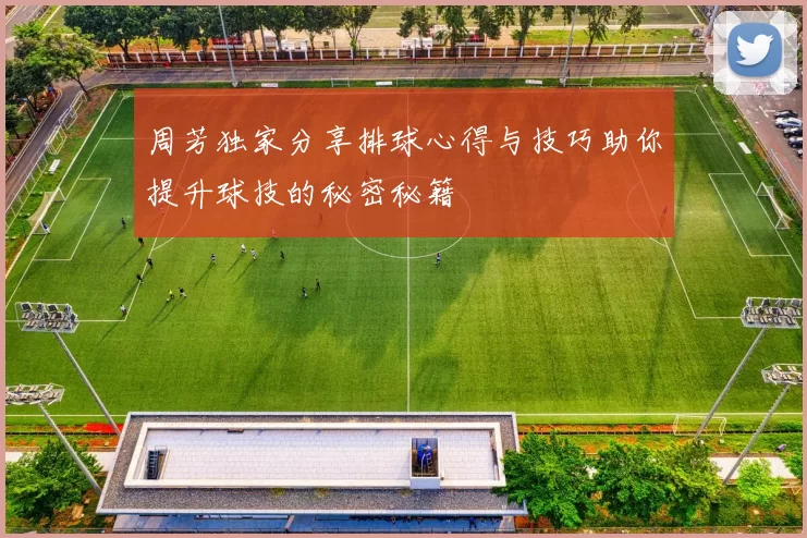 周芳独家分享排球心得与技巧助你提升球技的秘密秘籍