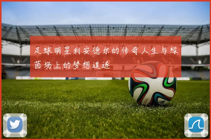 足球明星利安德尔的传奇人生与绿茵场上的梦想追逐