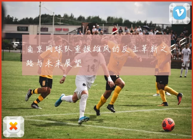 南京网球队重振雄风的反击革新之路与未来展望