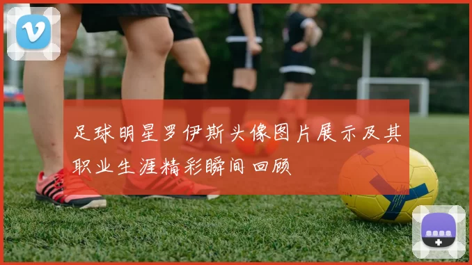 足球明星罗伊斯头像图片展示及其职业生涯精彩瞬间回顾