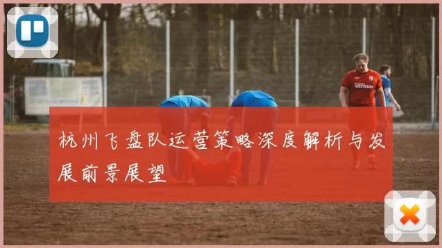 杭州飞盘队运营策略深度解析与发展前景展望