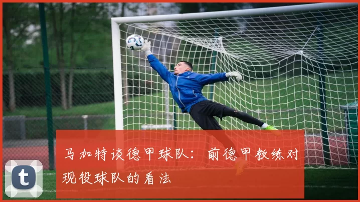 马加特谈德甲球队：前德甲教练对现役球队的看法