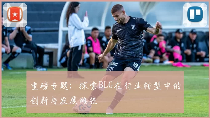 重磅专题：探索BLG在行业转型中的创新与发展路径