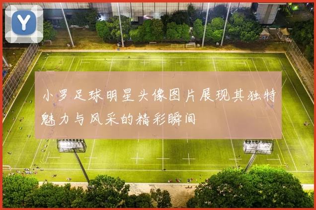 小罗足球明星头像图片展现其独特魅力与风采的精彩瞬间