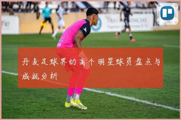 丹麦足球界的高个明星球员盘点与成就分析